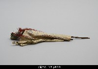 北京杖頭戲偶-花臉藏品圖，第4張